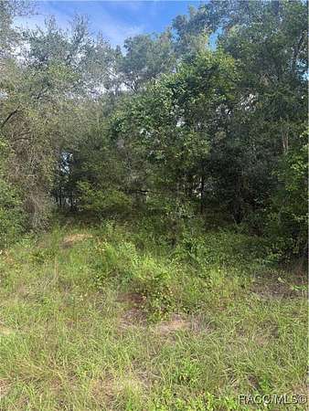 0.44 Acres of Residential Land for Sale in Inverness, Florida
