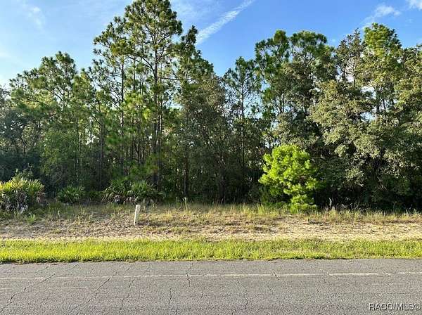 1 Acre of Residential Land for Sale in Beverly Hills, Florida