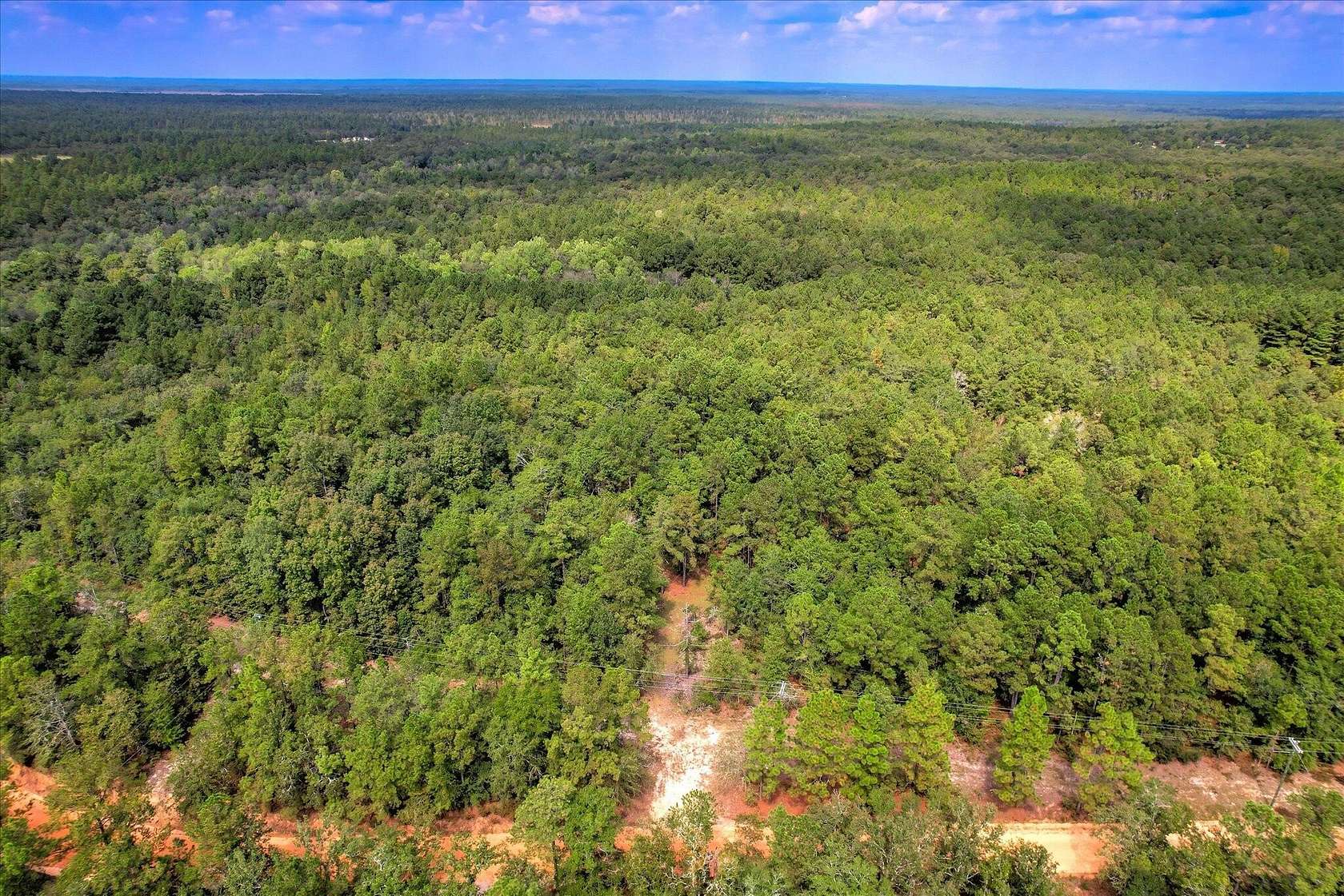 100 Acres of Recreational Land for Sale in Williston, South Carolina