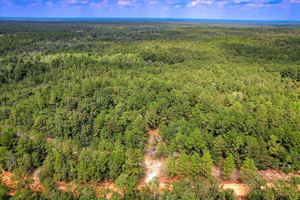 100 Acres of Recreational Land for Sale in Williston, South Carolina