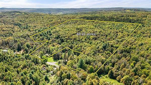 60.8 Acres of Recreational Land for Sale in Berkshire, New York