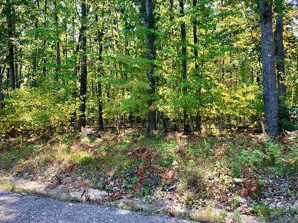 0.46 Acres of Residential Land for Sale in Roscommon, Michigan