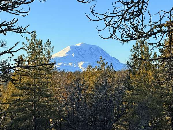 20 Acres of Recreational Land for Sale in Goldendale, Washington