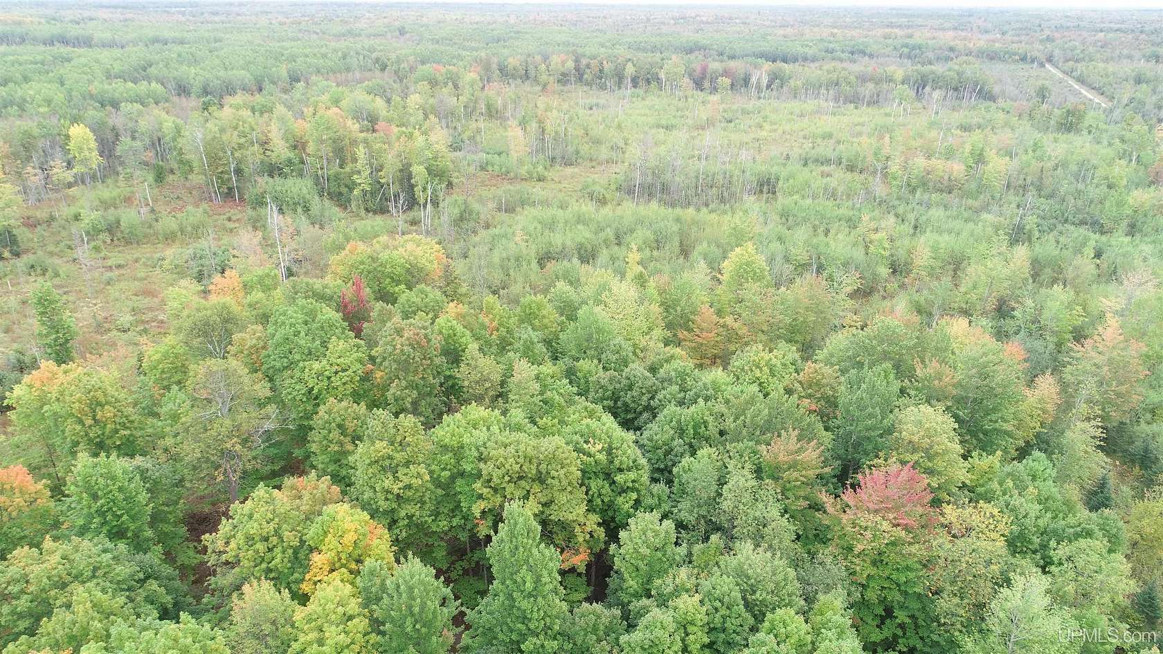 80 Acres of Recreational Land for Sale in Rock, Michigan