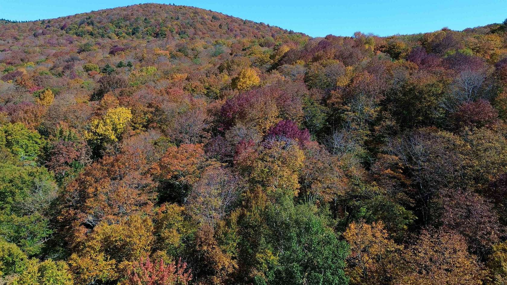 17.6 Acres of Land for Sale in Shrewsbury, Vermont