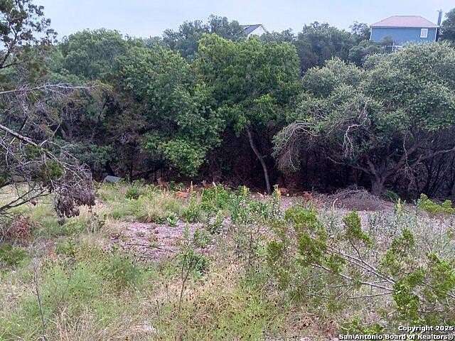 0.46 Acres of Residential Land for Sale in Canyon Lake, Texas