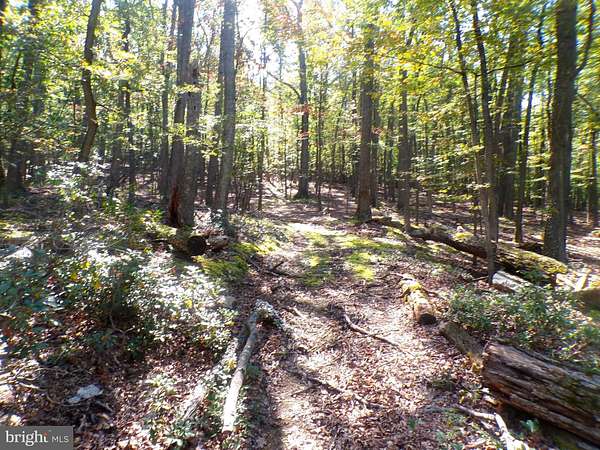 3.88 Acres of Land for Sale in Augusta, West Virginia