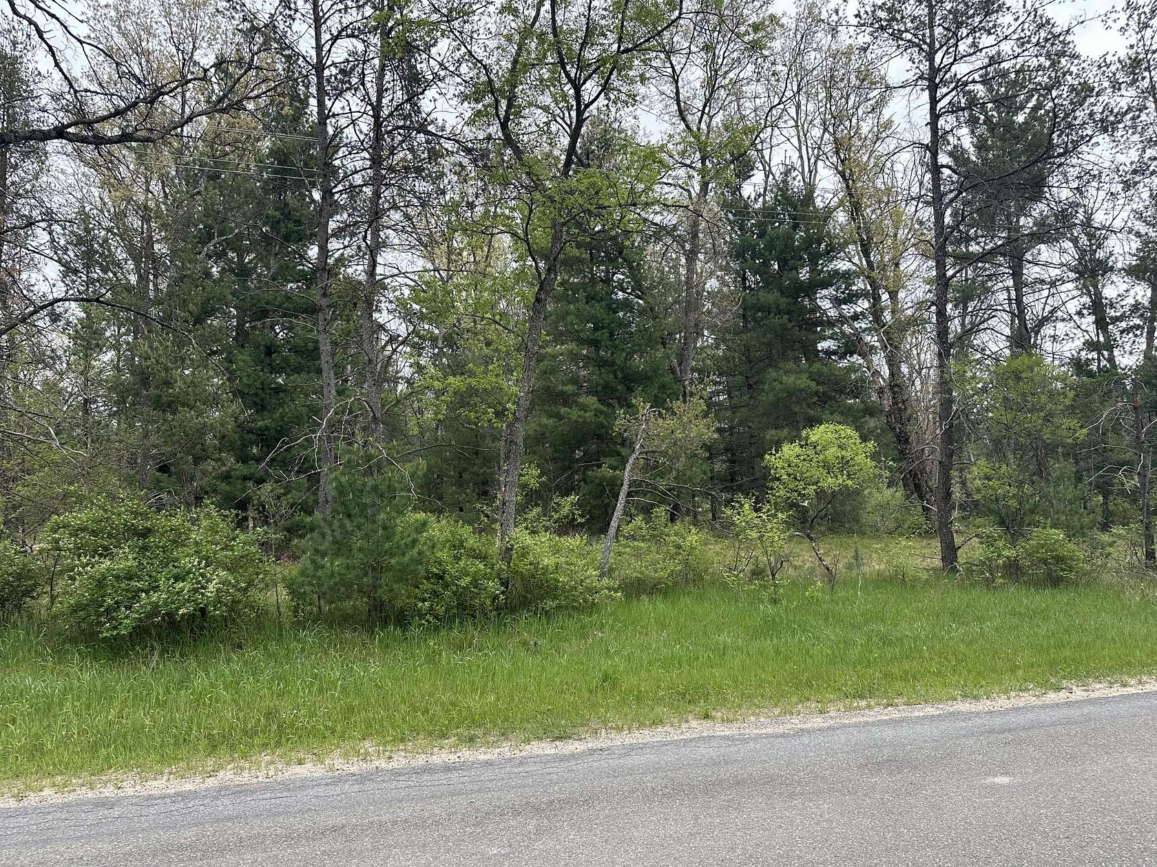 0.78 Acres of Residential Land for Sale in Idlewild, Michigan