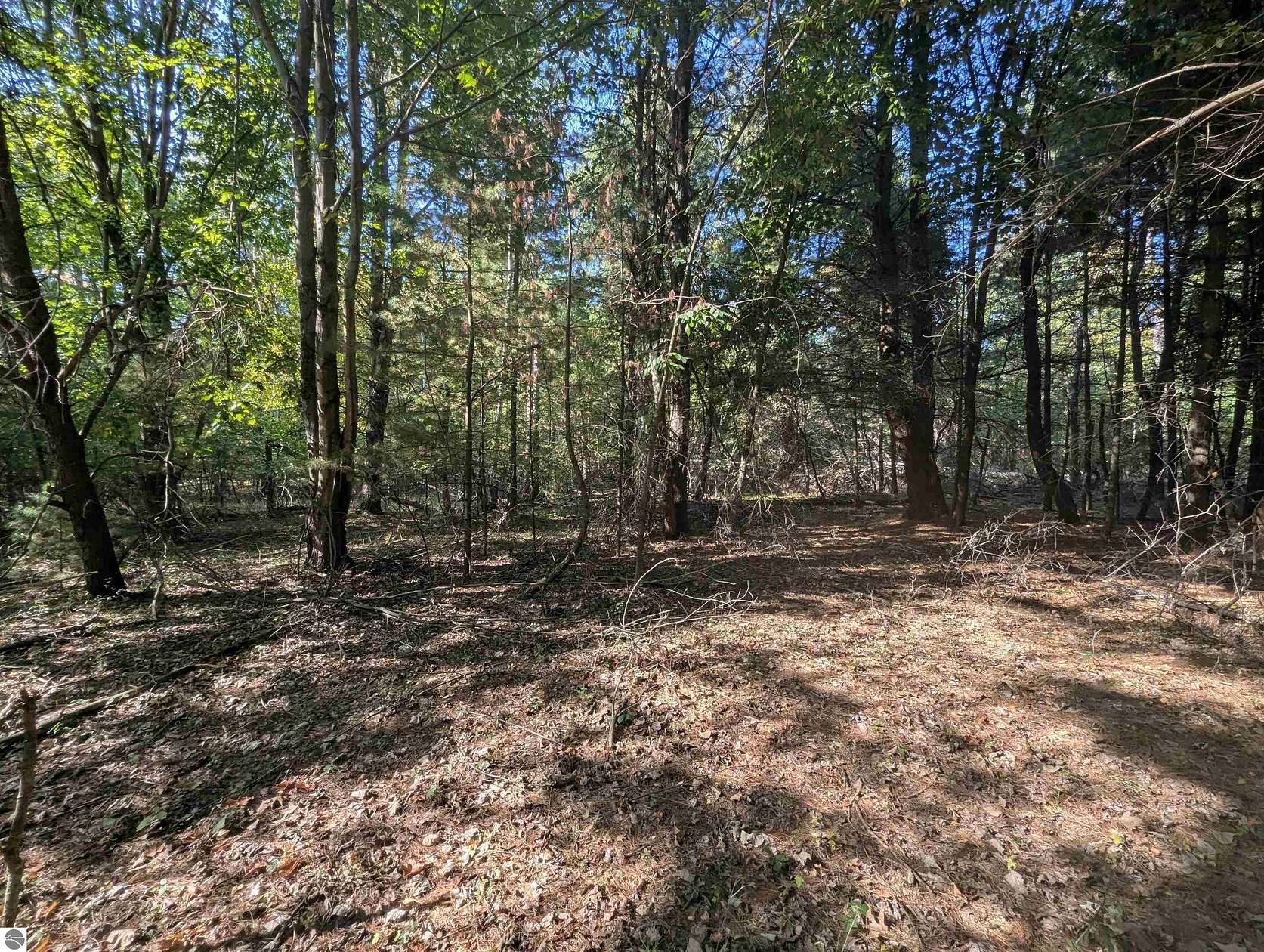 0.24 Acres of Residential Land for Sale in Alger, Michigan