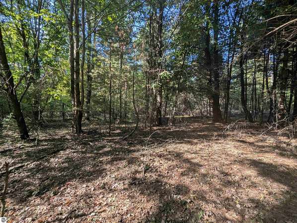 0.24 Acres of Residential Land for Sale in Alger, Michigan