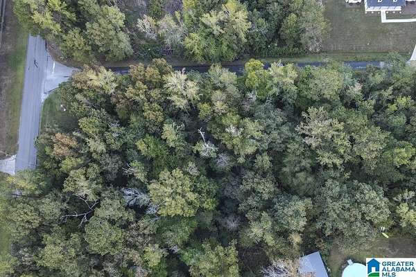 0.91 Acres of Residential Land for Sale in Jacksonville, Alabama