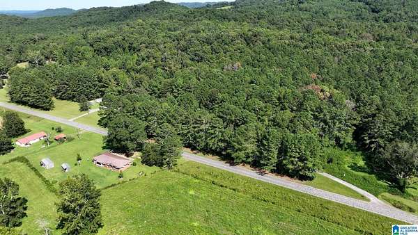 6.6 Acres of Land for Sale in Gallant, Alabama