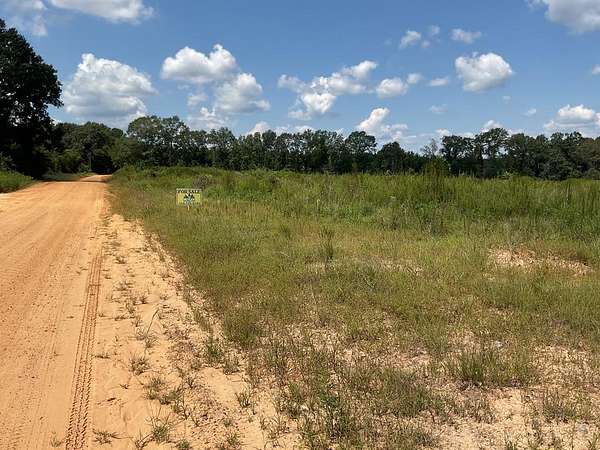 10 Acres of Residential Land for Sale in Luverne, Alabama