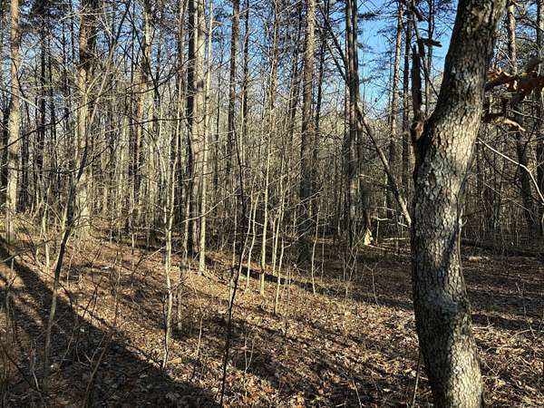 0.81 Acres of Residential Land for Sale in Kimball, Tennessee