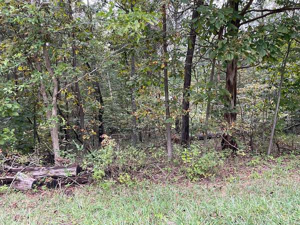 0.37 Acres of Residential Land for Sale in Santa Claus, Indiana