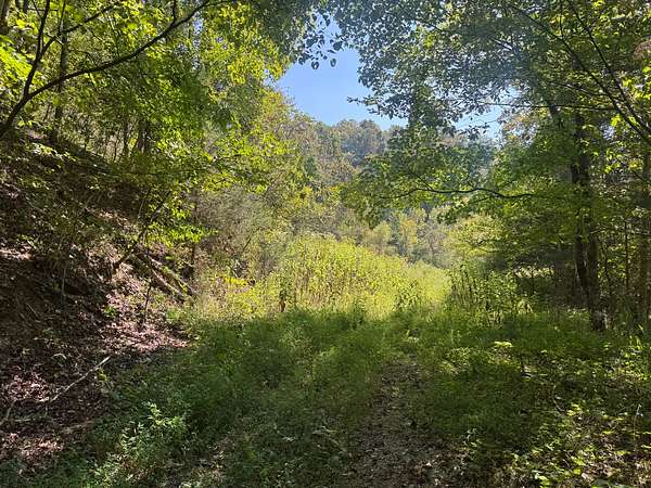 84.5 Acres of Recreational Land for Sale in Burkesville, Kentucky