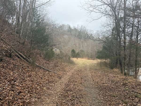 84.5 Acres of Recreational Land for Sale in Burkesville, Kentucky