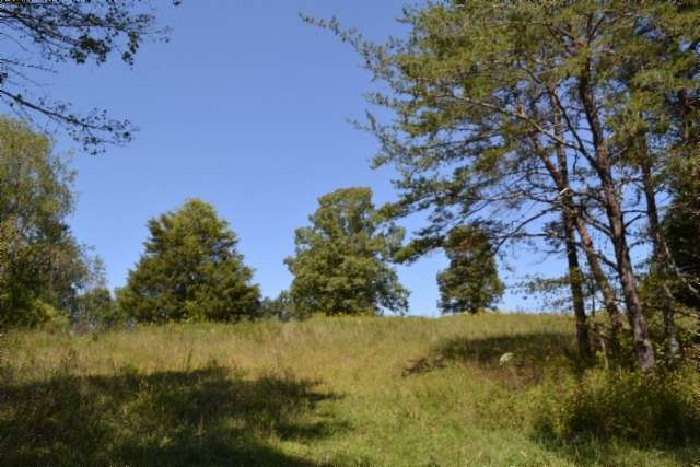 17.1 Acres of Land for Sale in Jamestown, Tennessee