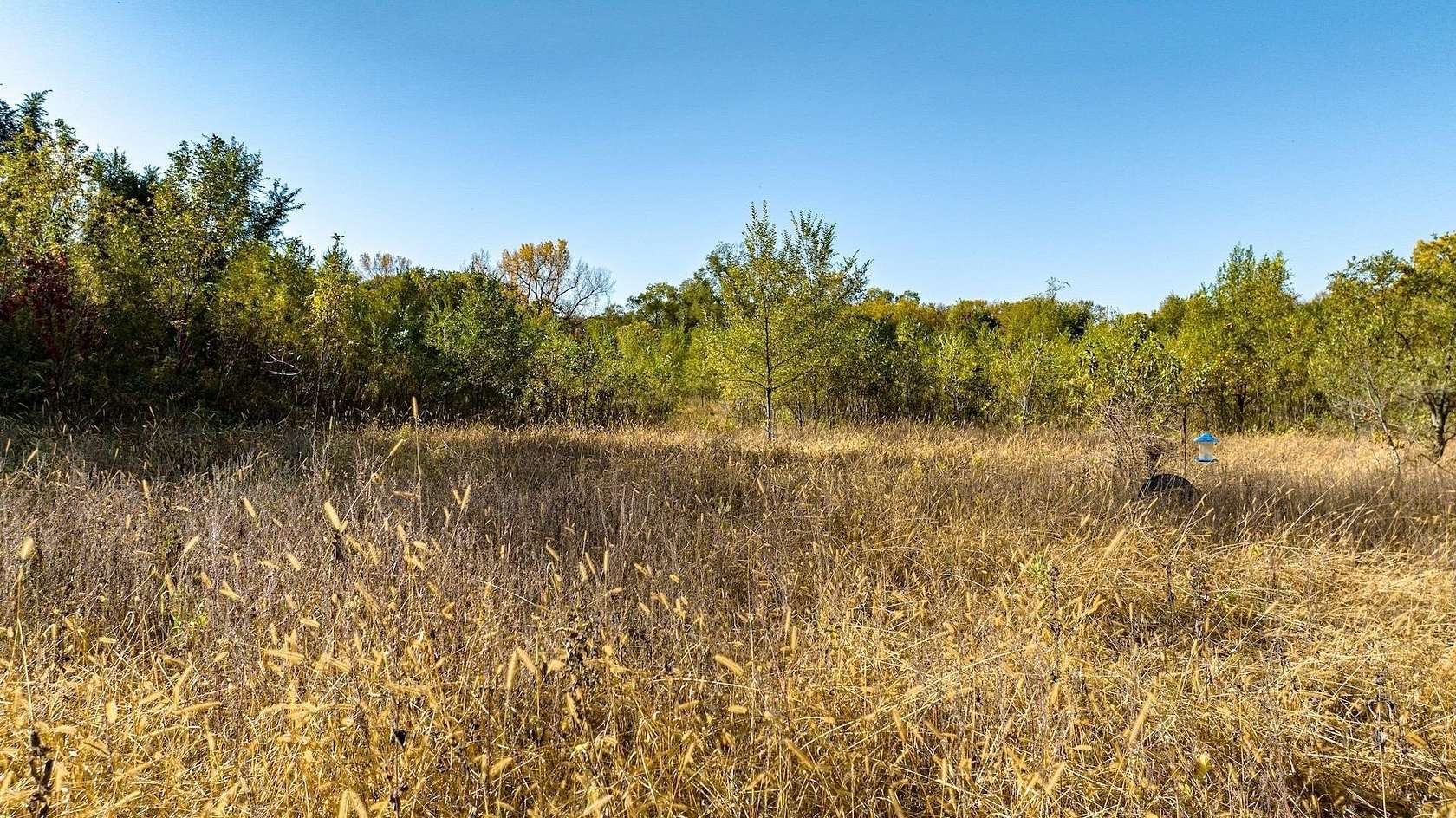 13.5 Acres of Recreational Land for Sale in Janesville, Iowa