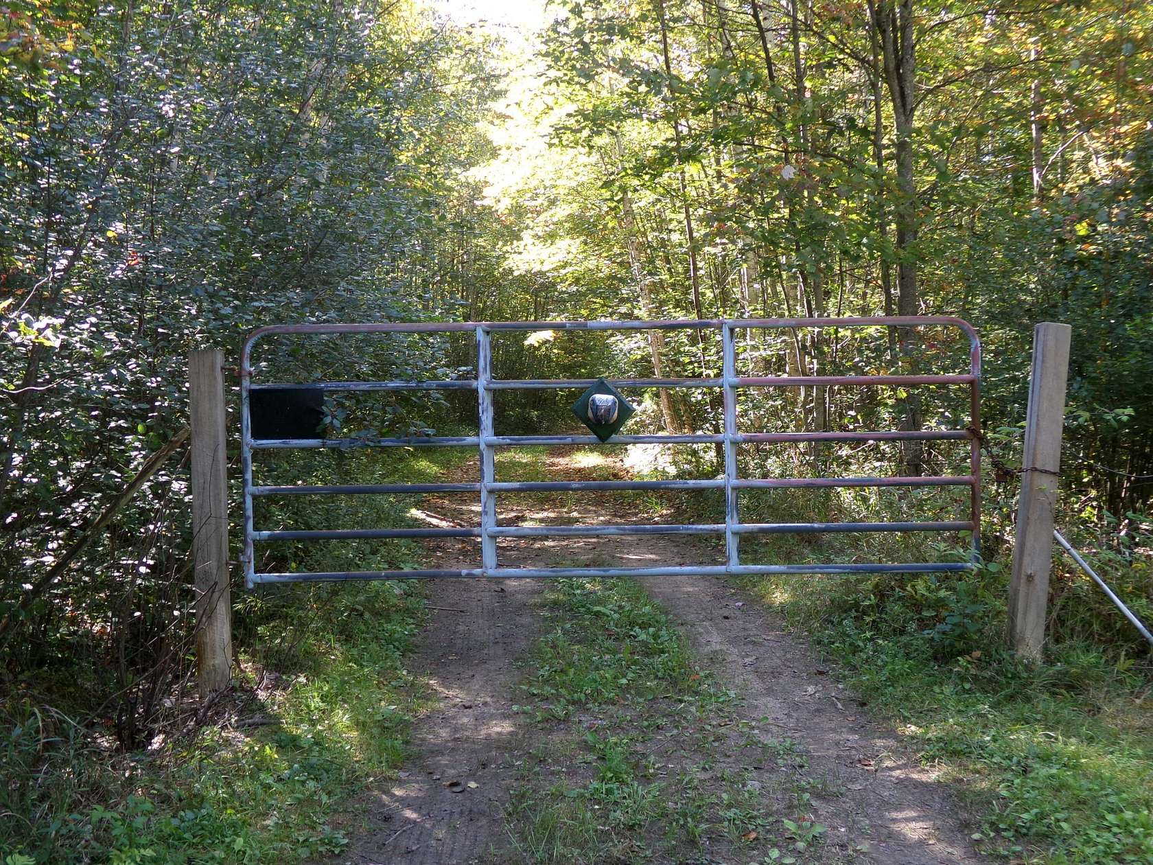 30 Acres of Recreational Land for Sale in Alpena, Michigan