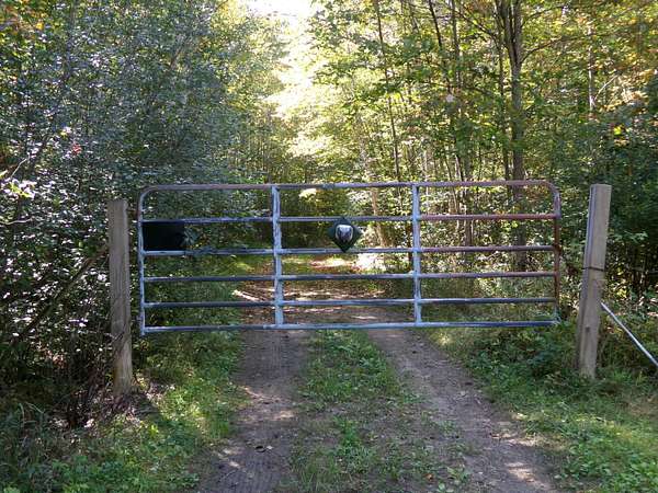 30 Acres of Recreational Land for Sale in Alpena, Michigan