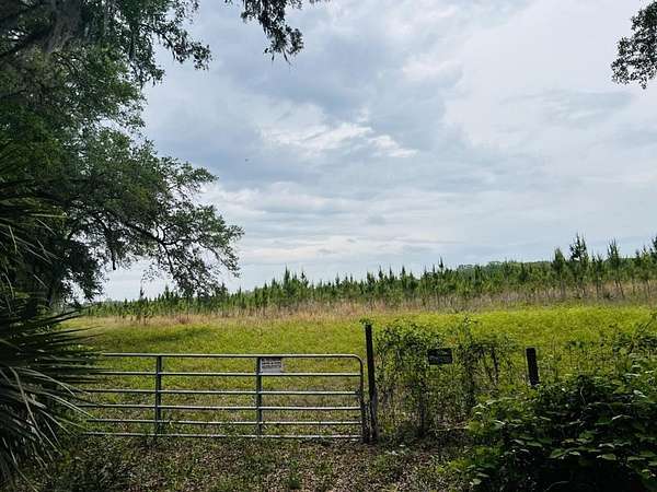 40 Acres of Land for Sale in Old Town, Florida