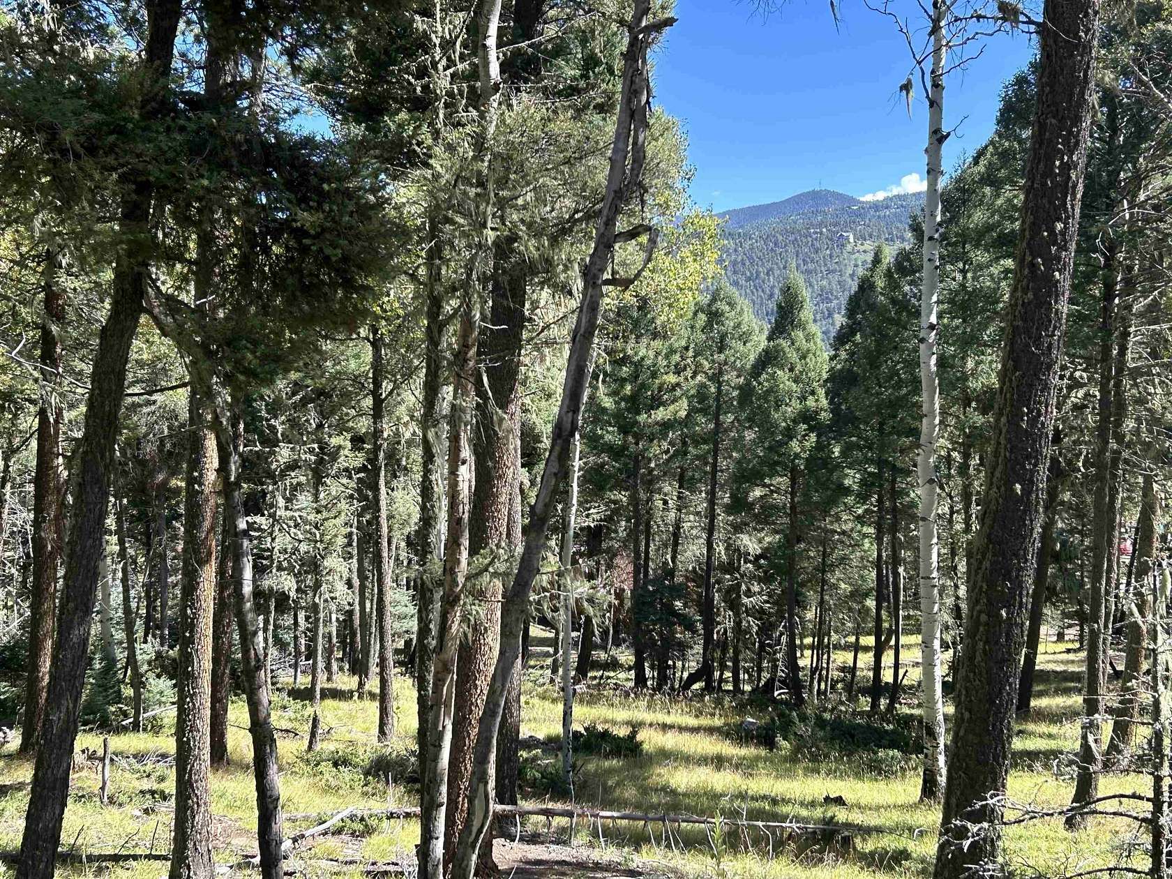 0.61 Acres of Land for Sale in Angel Fire, New Mexico