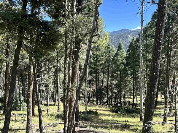 0.61 Acres of Land for Sale in Angel Fire, New Mexico
