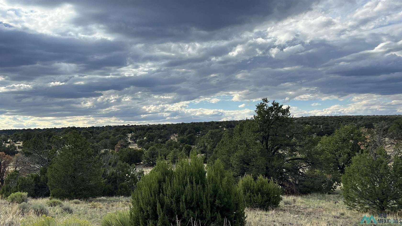 11.1 Acres of Land for Sale in Quemado, New Mexico