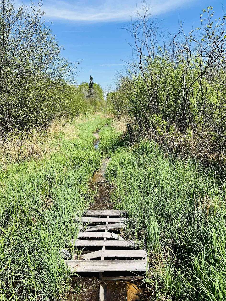 40 Acres of Recreational Land for Sale in Greenwood Town, Wisconsin