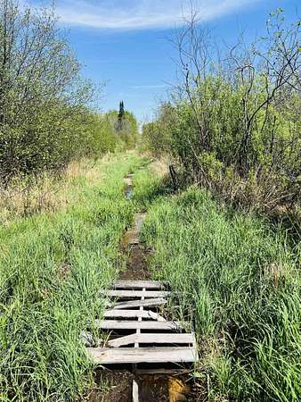 40 Acres of Recreational Land for Sale in Greenwood Town, Wisconsin