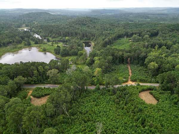 2 Acres of Residential Land for Sale in Eldridge, Alabama