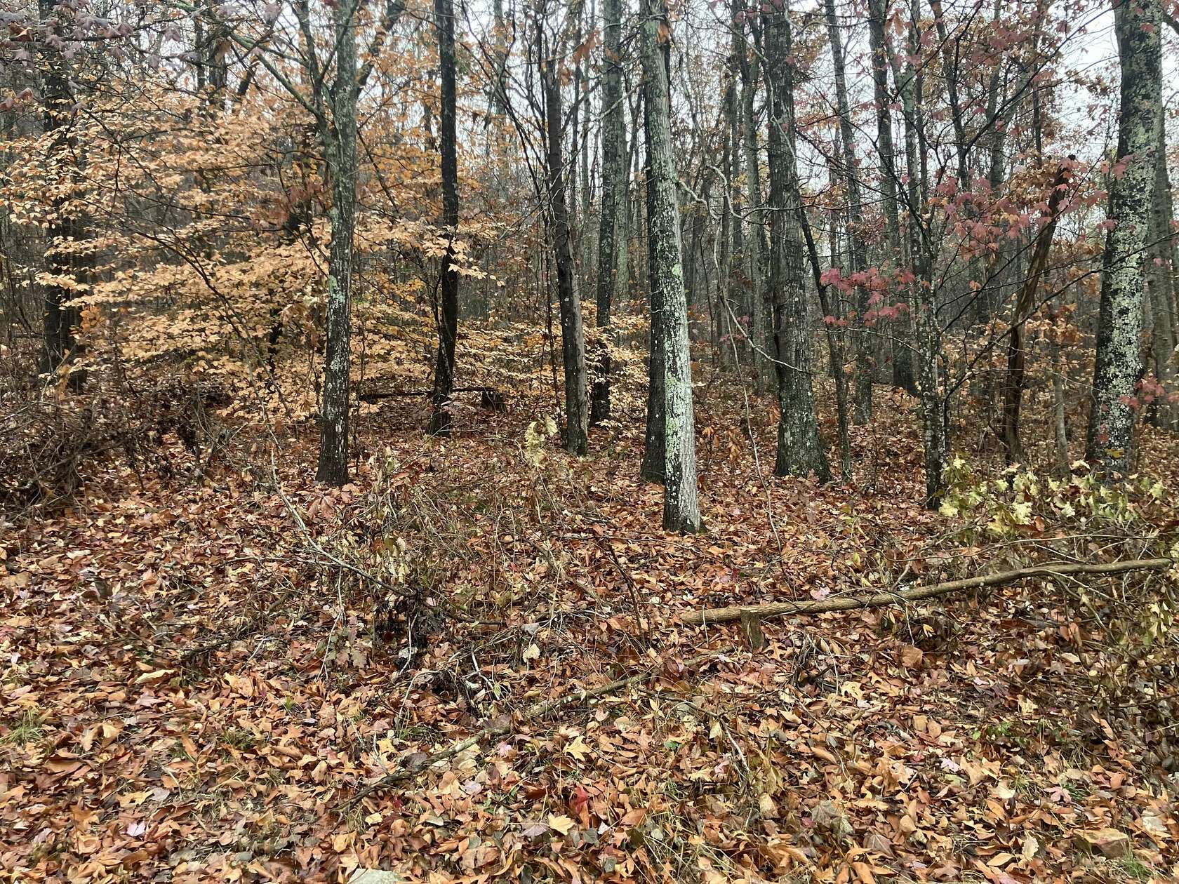 0.55 Acres of Residential Land for Sale in Kimball, Tennessee