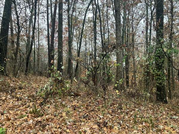 0.71 Acres of Residential Land for Sale in Kimball, Tennessee