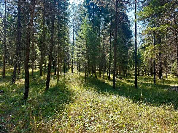 10 Acres of Land for Sale in Thompson Falls, Montana