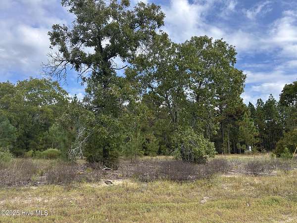 0.57 Acres of Residential Land for Sale in Marston, North Carolina