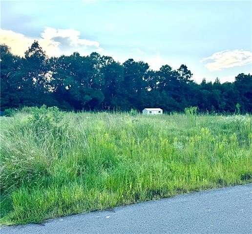 Residential Land for Sale in Pollock, Louisiana