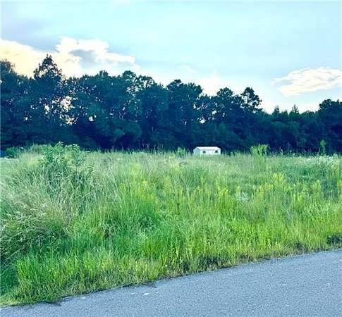 Residential Land for Sale in Pollock, Louisiana