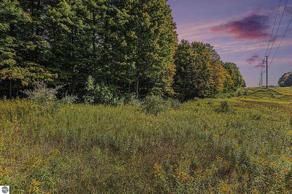 25 Acres of Agricultural Land for Sale in Buckley, Michigan