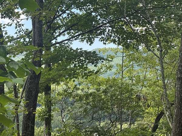 1.5 Acres of Land for Sale in Hayesville, North Carolina