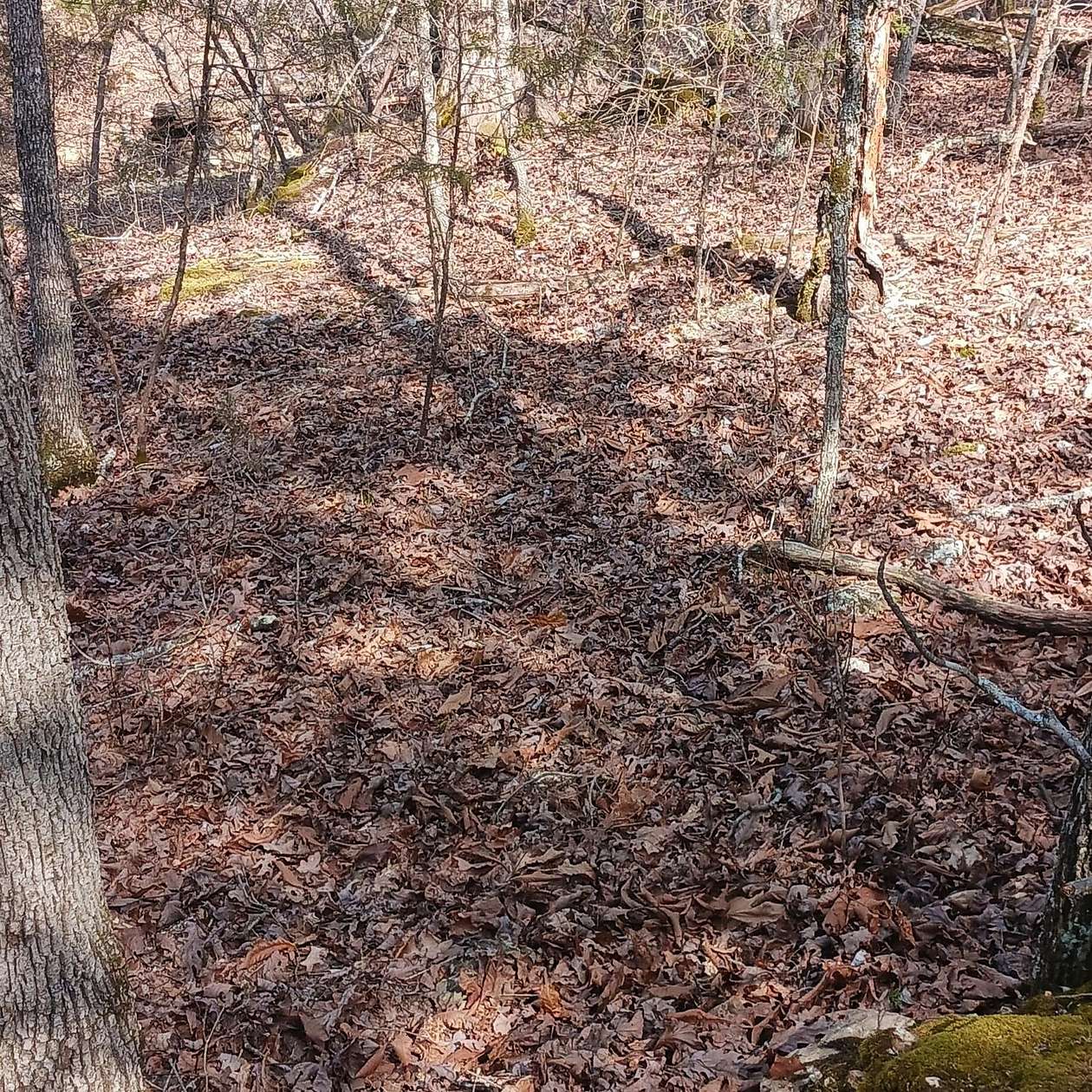 0.03 Acres of Residential Land for Sale in Theodosia, Missouri