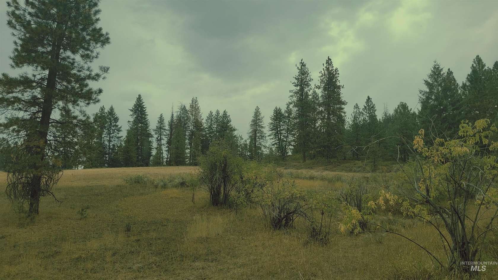 5 Acres of Land for Sale in Council, Idaho