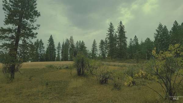 5 Acres of Land for Sale in Council, Idaho