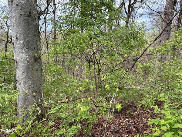 1.44 Acres of Residential Land for Sale in Newport, Tennessee