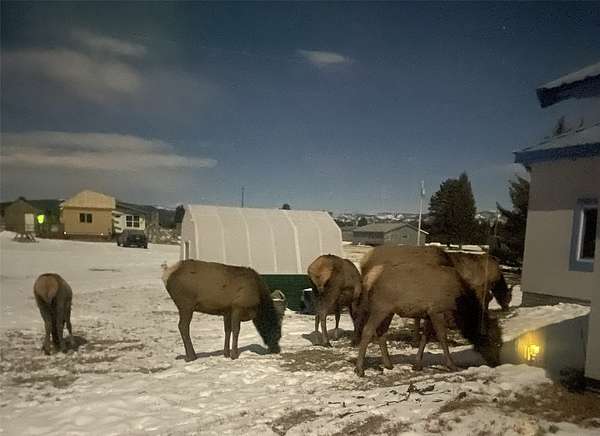 1.54 Acres of Residential Land with Home for Sale in Lincoln, Montana