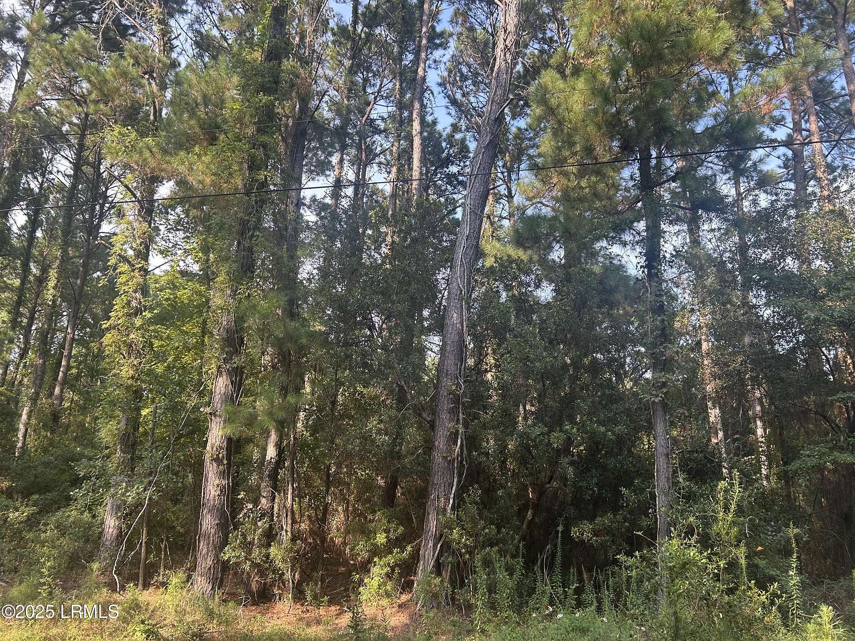 0.6 Acres of Residential Land for Sale in Saint Helena Island, South Carolina
