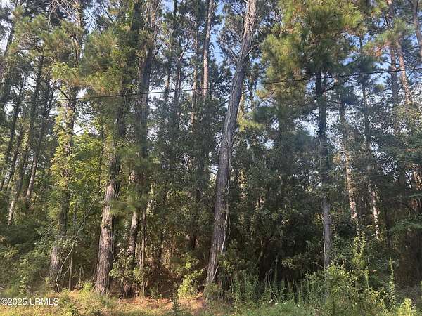 0.6 Acres of Residential Land for Sale in Saint Helena Island, South Carolina