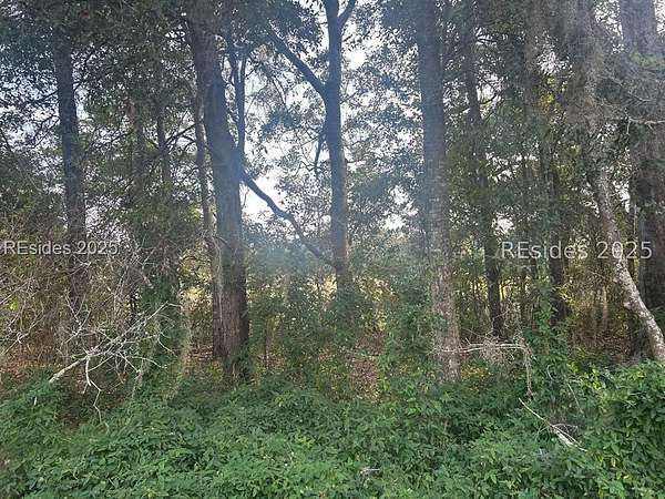 Residential Land for Sale in Saint Helena Island, South Carolina