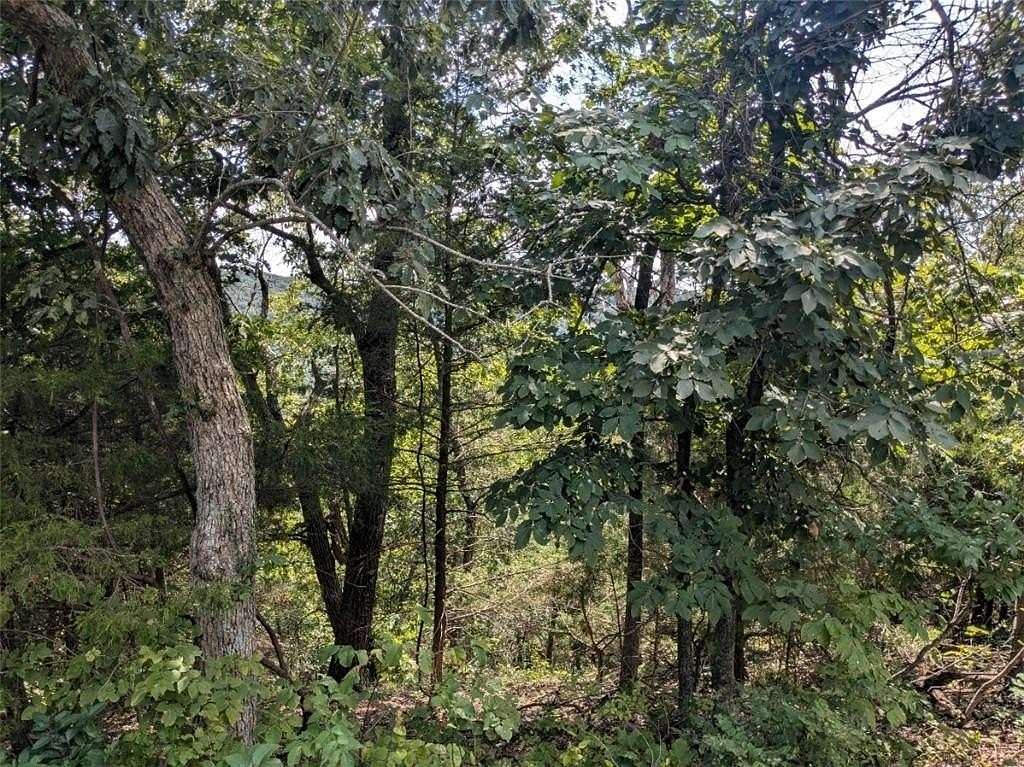 0.35 Acres of Residential Land for Sale in Holiday Island, Arkansas