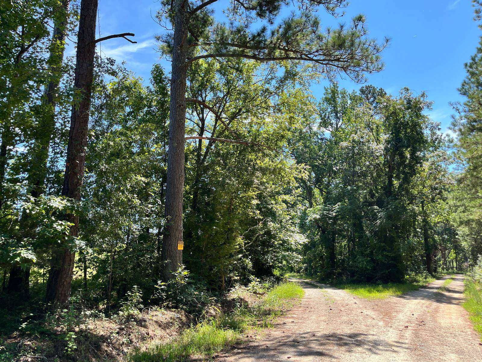 112 Acres of Land for Sale in McCormick, South Carolina